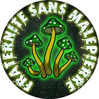 Blason de l'équipe