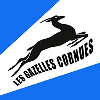 Blason de l'équipe