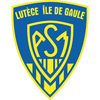 Blason de l'équipe