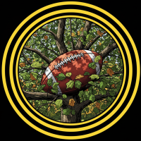 Blason de l'équipe